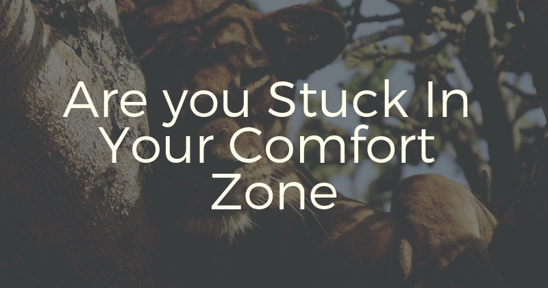 Are you stuck in your comfort zone?