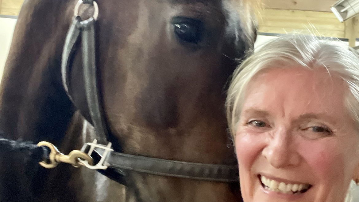 A Surprising Trio: Overwhelm, Horses and Mr. Rogers