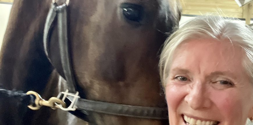 A Surprising Trio: Overwhelm, Horses and Mr. Rogers