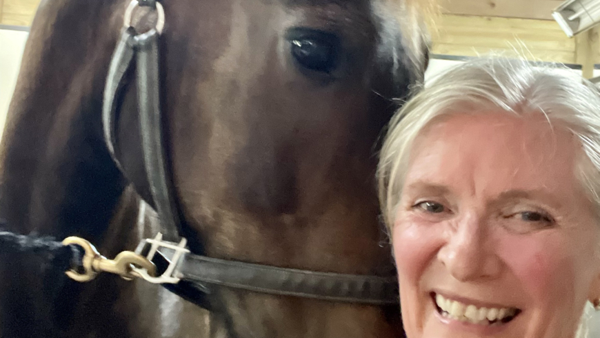 A Surprising Trio: Overwhelm, Horses and Mr. Rogers